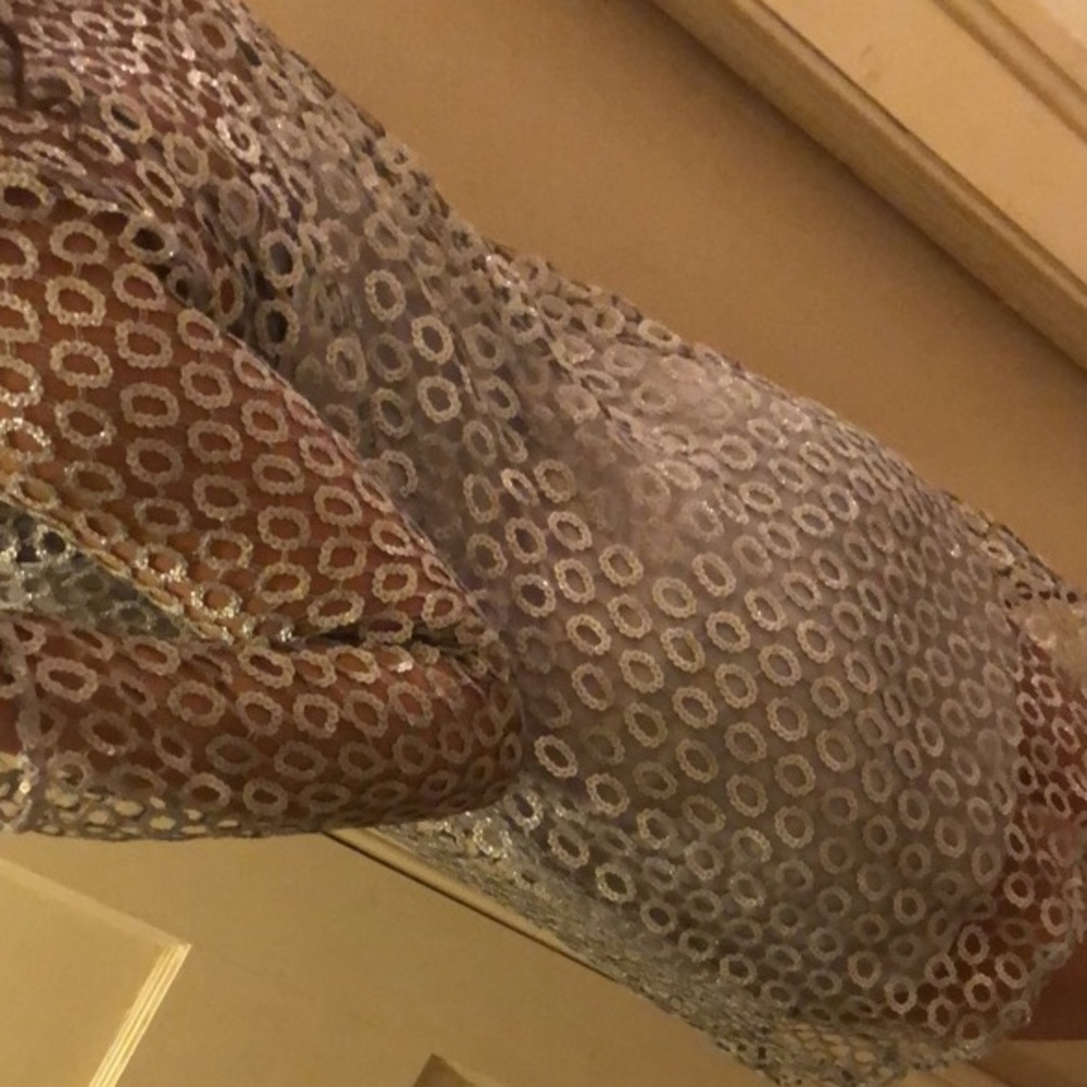 Silver Dress - Picture 4 of 6